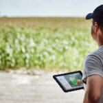 El maní, un paso adelante en agricultura regenerativa