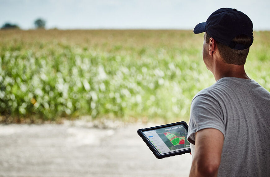 El maní, un paso adelante en agricultura regenerativa