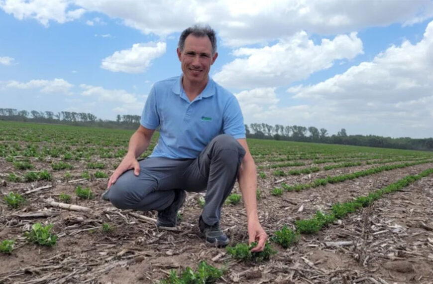 La apuesta de cultivar maní en San Luis