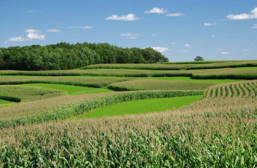 Un acuerdo para impulsar la agricultura regenerativa