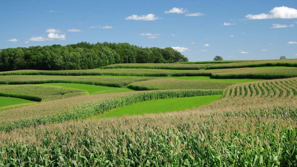 Un acuerdo para impulsar la agricultura regenerativa